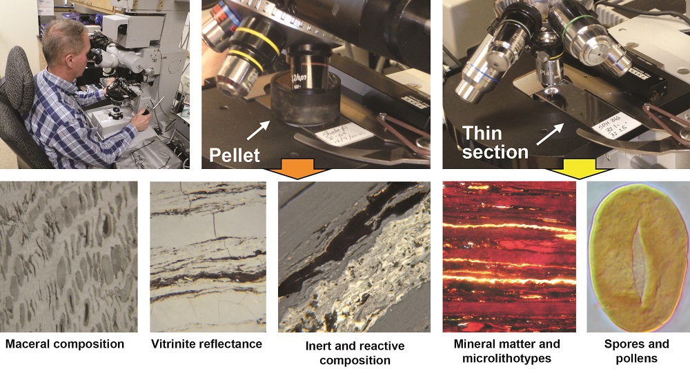 Petrographic examination of coal from pellets or thin sections is used for many different analyses.